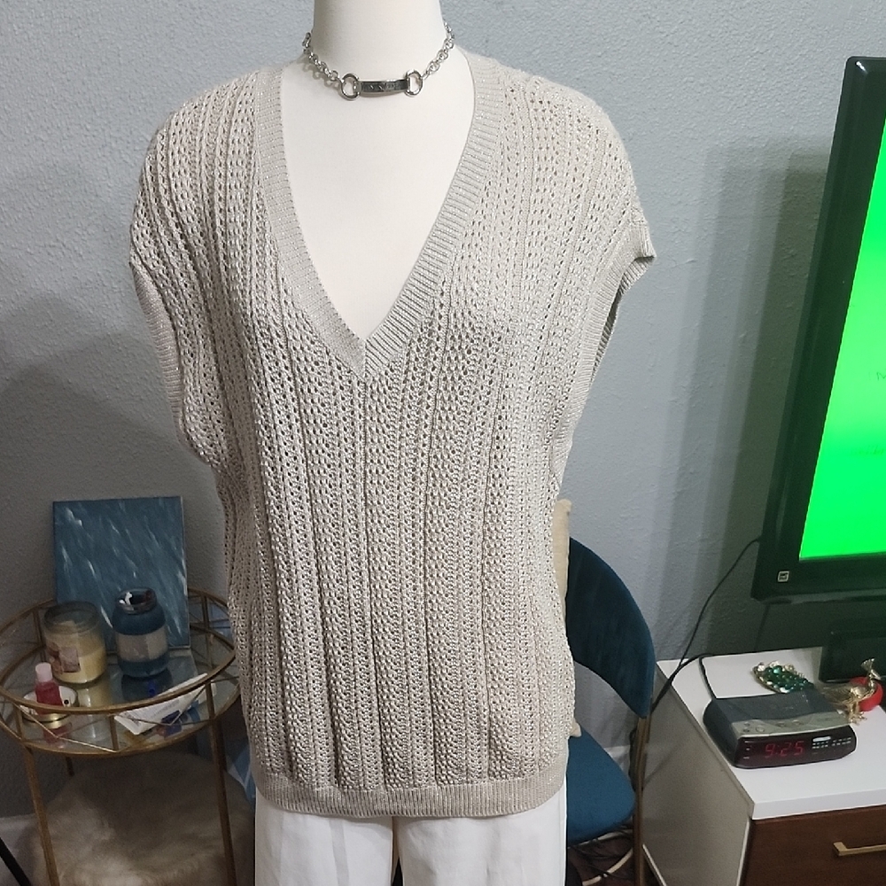 DKNY Women's V-Neck Sweater in Beige & Metallic Silver